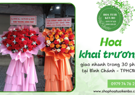 Hoa khai trương giao nhanh trong 30 phút tại Bình Chánh, TPHCM - 0979 74 76 29