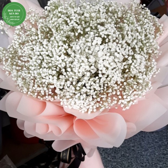 Hoa sinh nhật mẫu 12