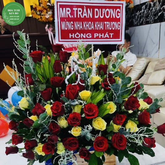 Hoa chúc mừng Khai trương mẫu 11