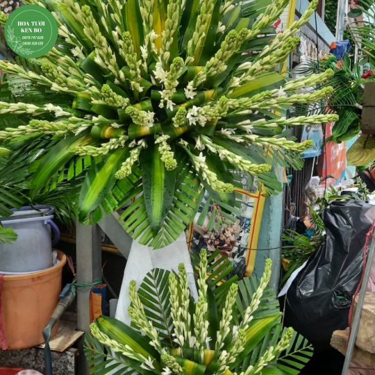 Hoa chia buồn mẫu 49