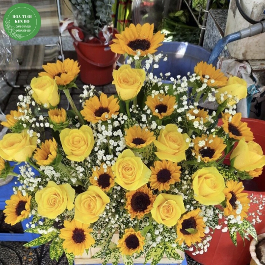 Hoa chúc mừng mẫu 18