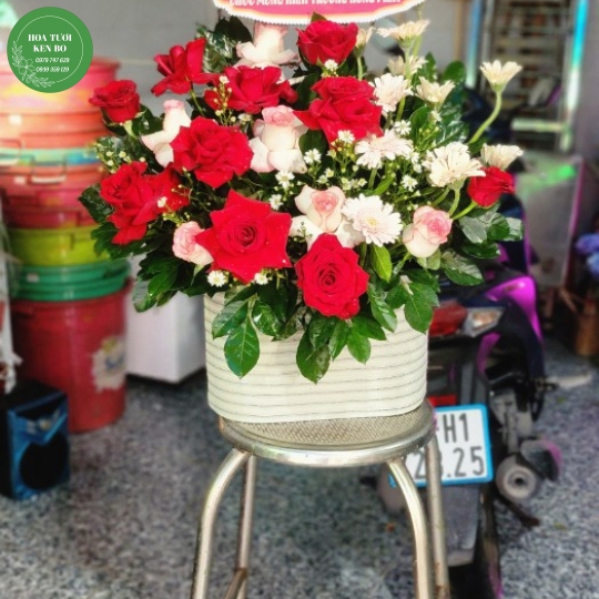 Hoa chúc mừng mẫu 20